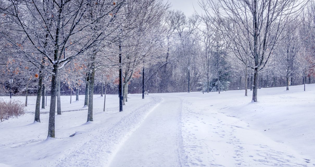 snow covered road between bare trees under cloudy sky during daytime
