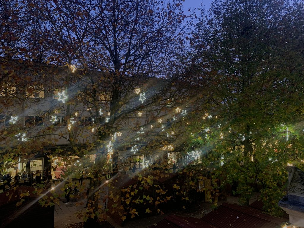 Image Description: photo of trees that are gradually losing their yellowing leaves around the promenade. They are littered with gold and white star lights in the branches. Below the trees are shoppers, a choir, and lots of small brown wooden Christmas market huts.
