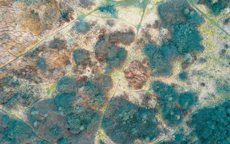 bird's eye view photography of green leafed trees