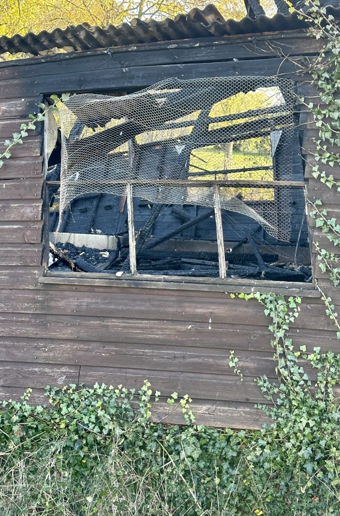 An image of the side of the farm building looking through a window frame to burnt timbers inside. There is a metal screen on the window that is slightly curled up.  Ivy is growing up from the ground.